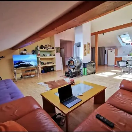 Morning Sunshine Apartment Bled